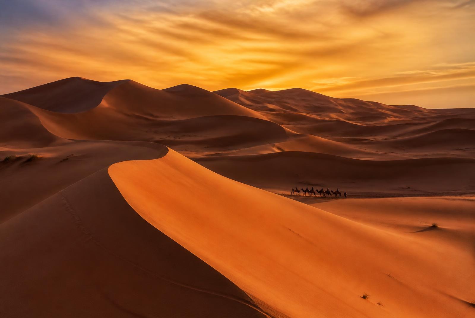 Marocco del Deserto