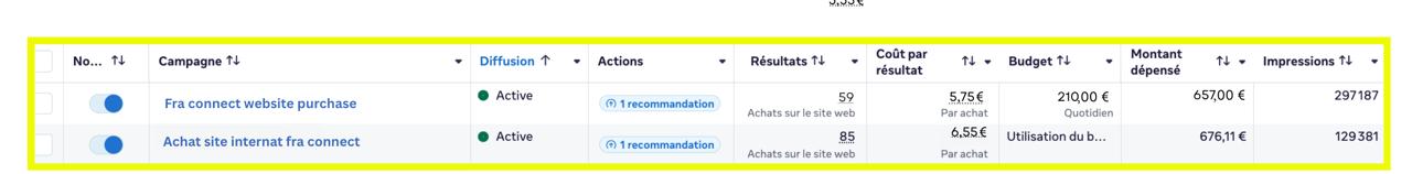 Meta Ads performance - FRA Connect